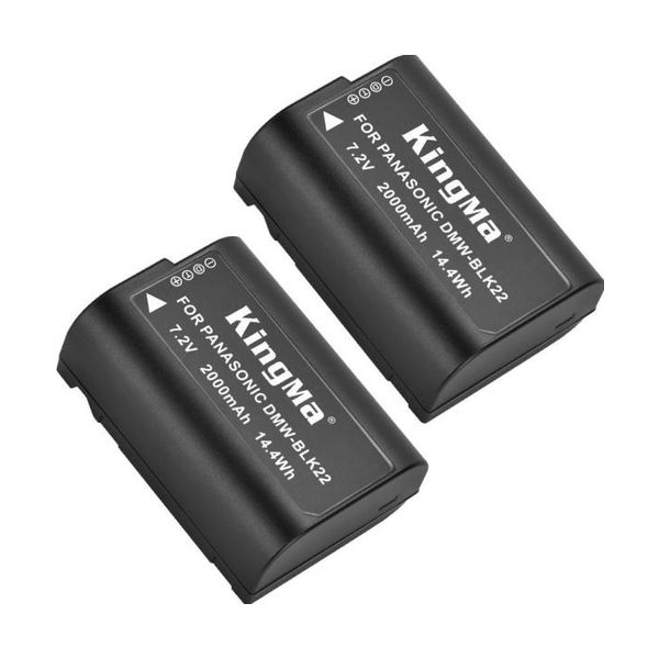 DMW-BLK22 (2-Pack)