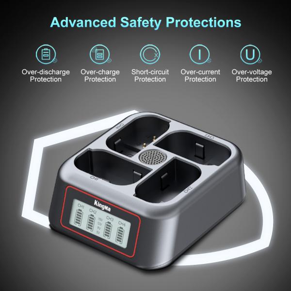 KingMa BM069-FZ100 на 4 батареї