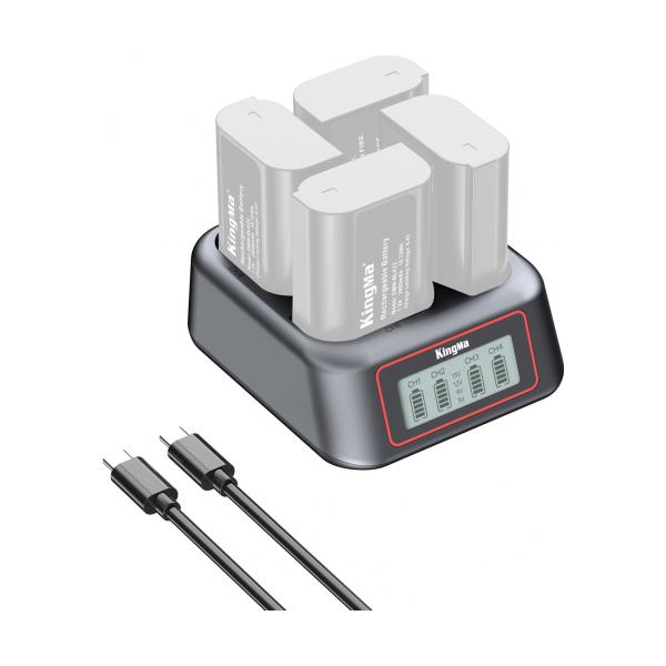 KingMa BM069-FZ100 на 4 батареї