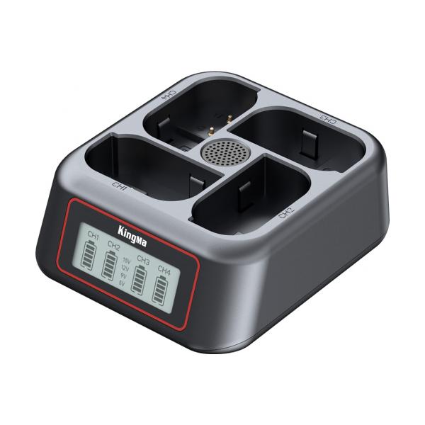 KingMa BM069-FZ100 на 4 батареї